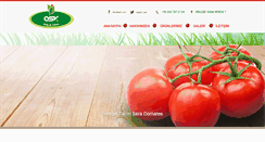 Desktop Screenshot of birlesiktarim.com